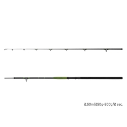 Wędka Delphin ENERGY Catfish - 2,50m / 250 - 500 g / 2 składy
